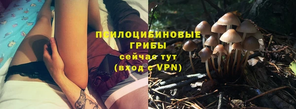 ГАЛЛЮЦИНОГЕННЫЕ ГРИБЫ Балабаново